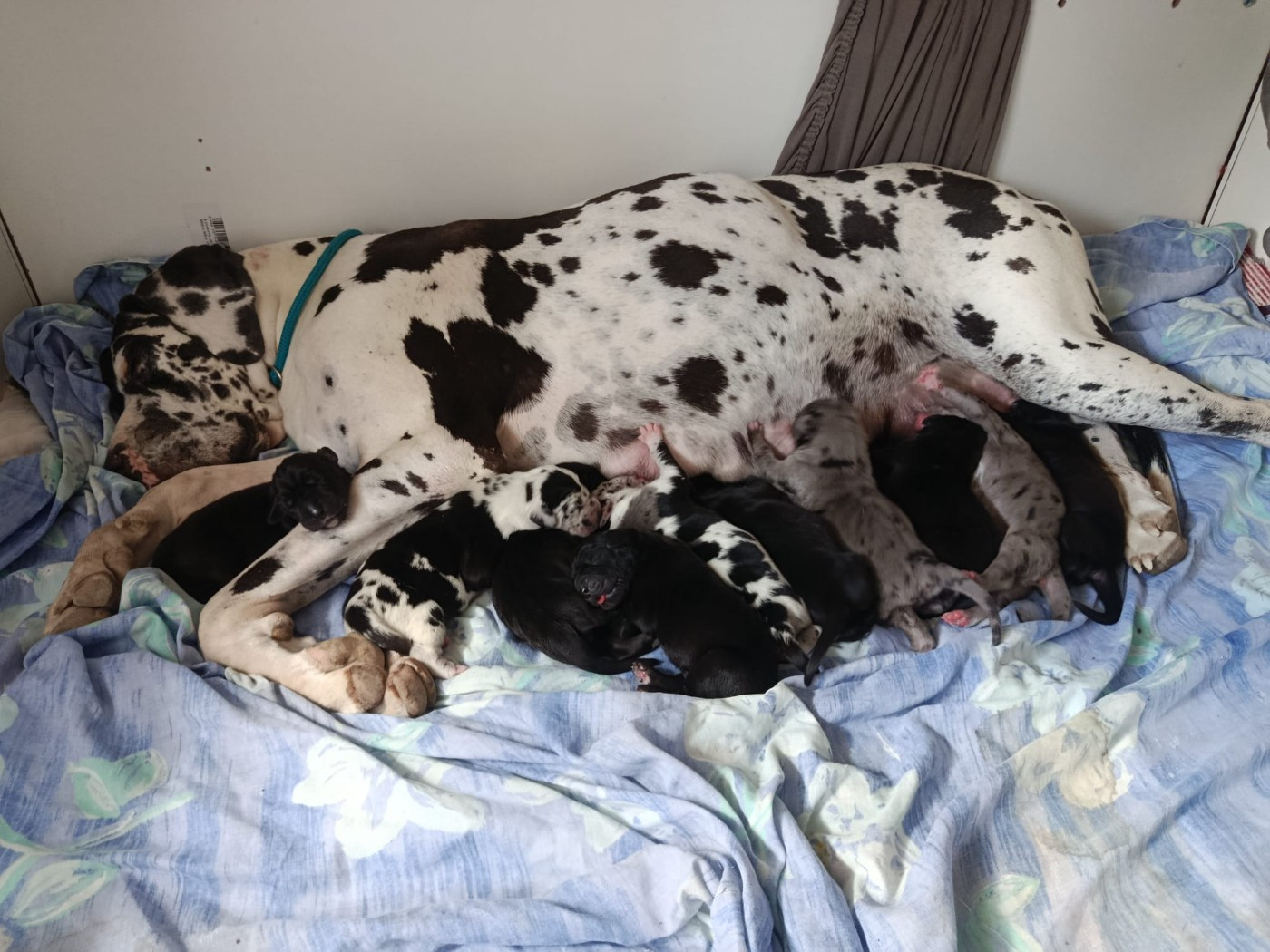 Une naissance très attendue !